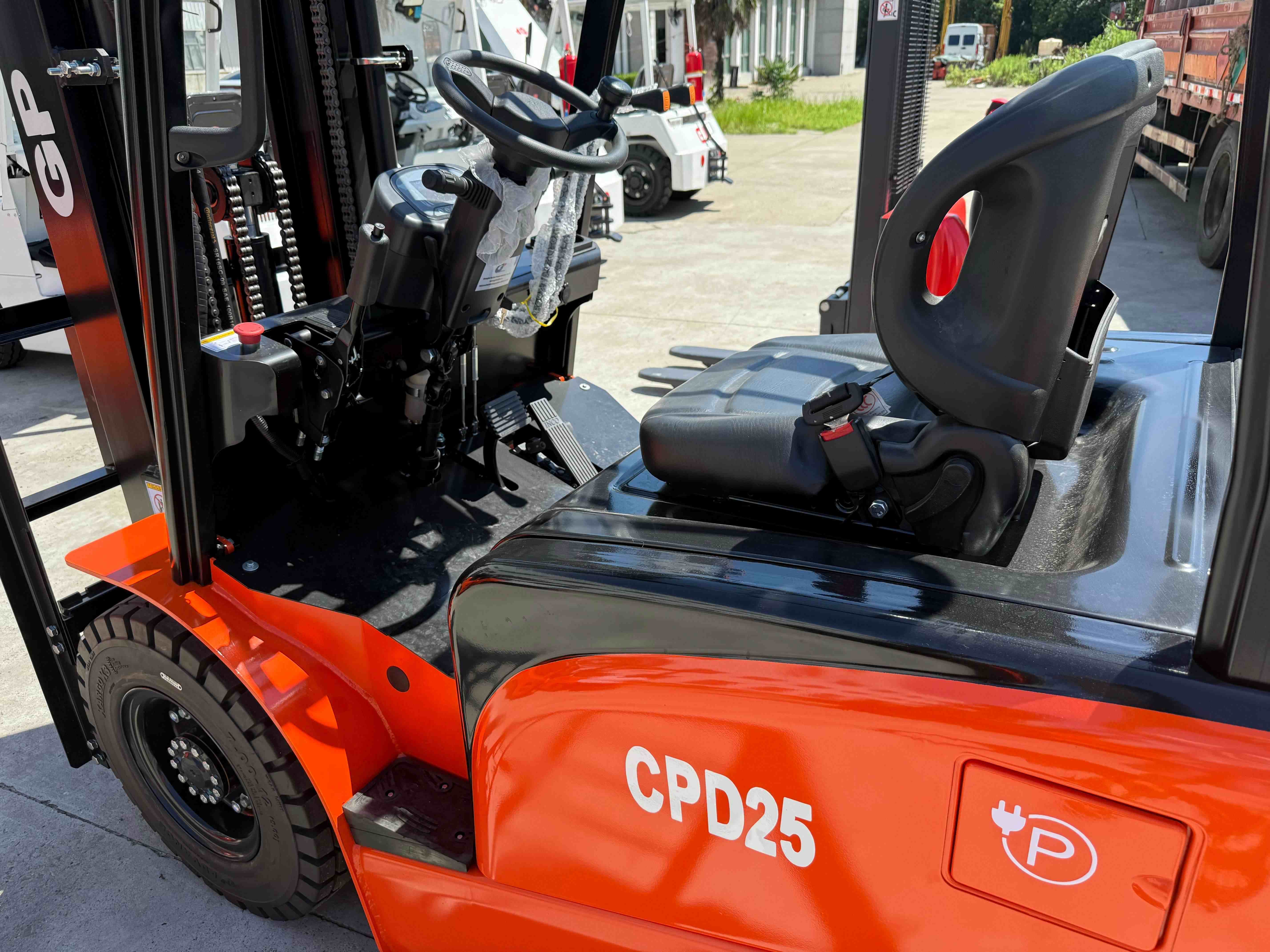 CPD25 (10)